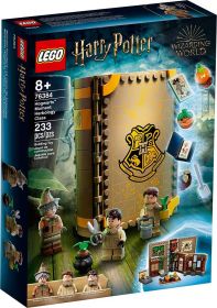 LEGO 76383  Lezione di Pozioni a Hogwarts | LEGO Harry Potter