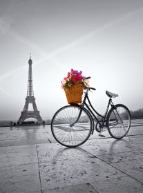 Puzzle Fotografia 500 pezzi Clementoni Romantic Promenade in Paris