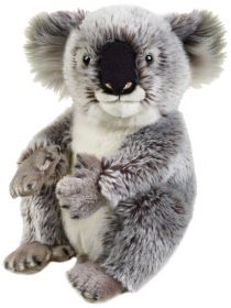 Koala 26 cm (Peluche National Geographic)