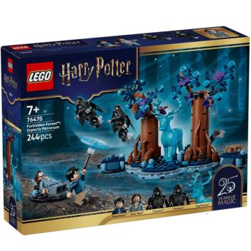 LEGO 76475 Foresta Proibita: Expecto Patronum 244pz | LEGO HARRY POTTER 7+