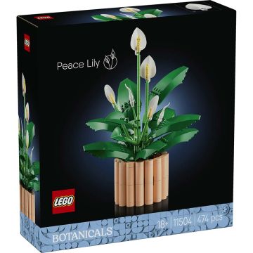 LEGO FIORI 11504 Spatifillo | LEGO FIORI 18+