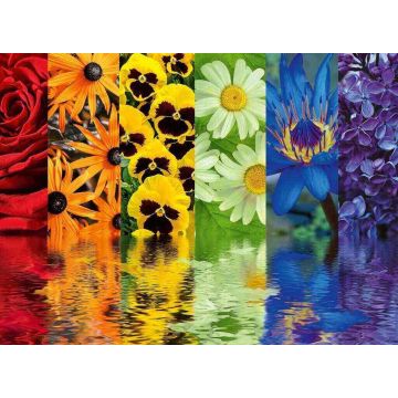 PUZZLE 500pz Ravensburger Riflessi Floreali | Puzzle Fiori e Natura