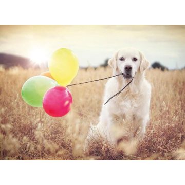 PUZZLE 500pz Ravensburger Giorno di Festa | Puzzle Animali