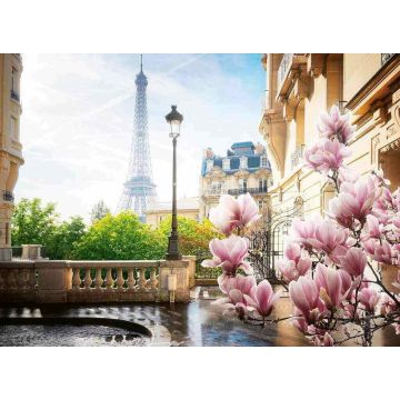 PUZZLE 500pz Ravensburger Primavera a Parigi | Puzzle Paesaggi