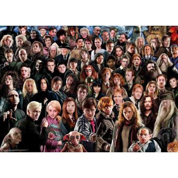 PUZZLE 1000pz Ravensburger Harry Potter Challenge | Puzzle Harry Potter