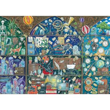 PUZZLE 1000pz Ravensburger Libreria delle Curiosità | Puzzle Composizioni