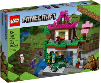 LEGO 21183 I Campi d’Allenamento | LEGO Minecraft - Confezione