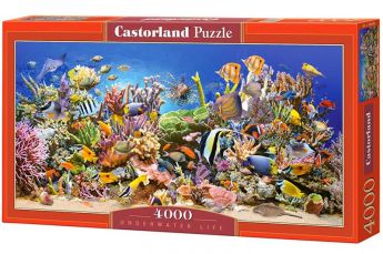 Puzzle 4000 pezzi Castorland Vita Sottomarina | Puzzle Mare